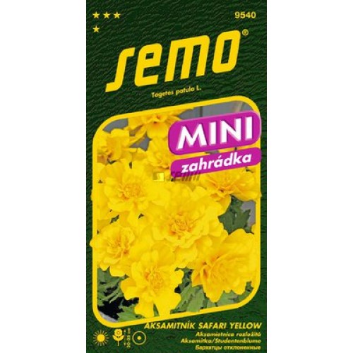 SEMO Aksamietnica rozložitá SAFARI YELLOW 9540 SEMO Aksamietnica rozložitá SAFARI YELLOW 9540