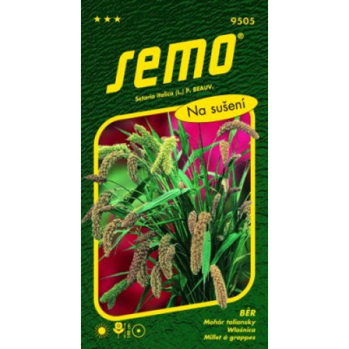 SEMO Ber ZMES 95059