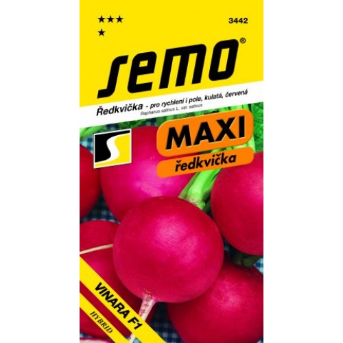 SEMO Reďkovka VINARA F1 34429 SEMO Reďkovka VINARA F1 34429