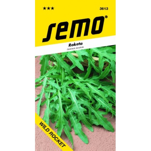 SEMO Roketa siata WILD ROCKET 36139 SEMO Roketa siata WILD ROCKET 36139