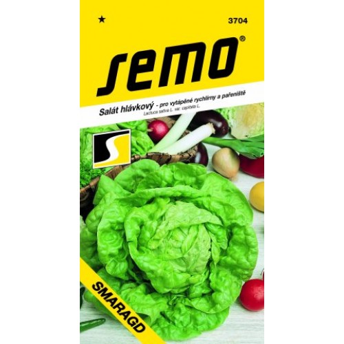 SEMO Šalát hlávkový SMARAGD 3704 SEMO Šalát hlávkový SMARAGD 3704