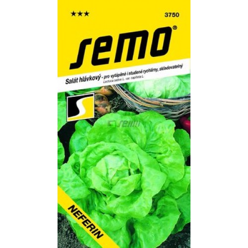 SEMO Šalát hlávkový NEFERIN 3750