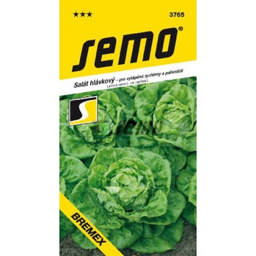 SEMO Šalát hlávkový BREMEX 3765 SEMO Šalát hlávkový BREMEX 3765
