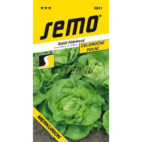 SEMO Šalát hlávkový MERKURION 3831 SEMO Šalát hlávkový MERKURION 3831