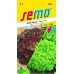SEMO Šalát listový SMĚS LOLO 3874