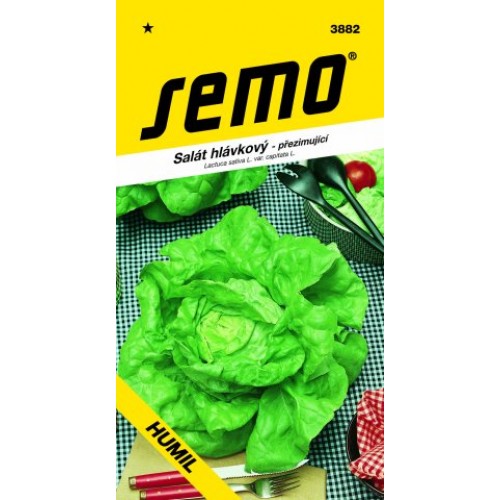 SEMO Šalát hlávkový HUMIL 38829 SEMO Šalát hlávkový HUMIL 38829