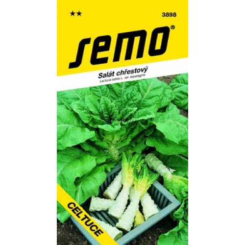 SEMO Šalát špargľový CELTUCE 3898 SEMO Šalát špargľový CELTUCE 3898