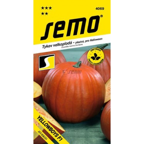 SEMO Tekvica YELLOWBOYS F1 4069 SEMO Tekvica YELLOWBOYS F1 4069