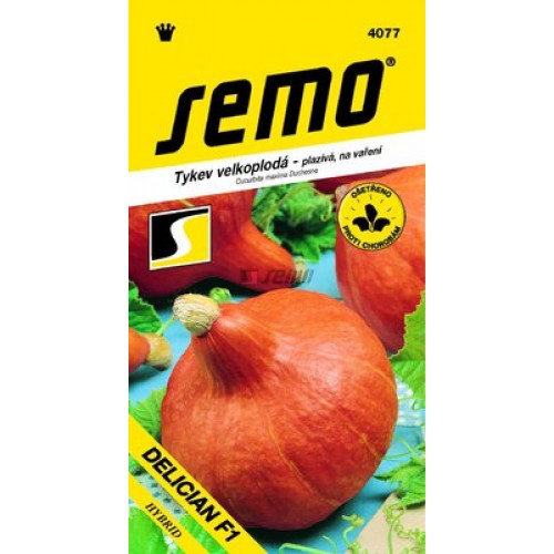 SEMO Tekvica Hokkaido DELICIAN F1 4077 SEMO Tekvica Hokkaido DELICIAN F1 4077