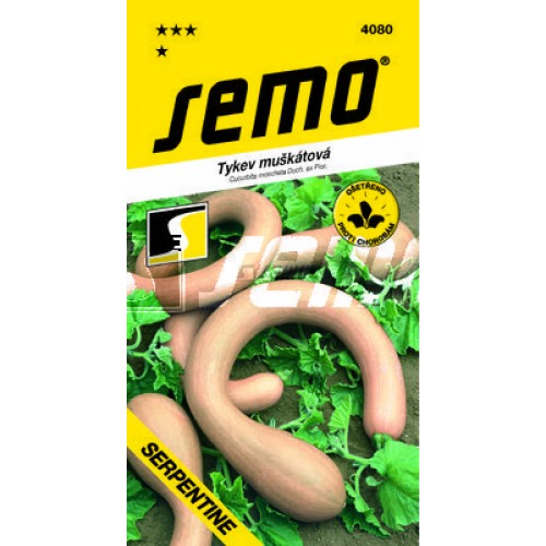 SEMO Tekvica muškátová Serpentine 4080 SEMO Tekvica muškátová Serpentine 4080