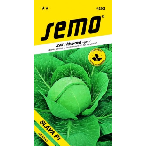 SEMO Kapusta hlávková SLÁVA F1 4202 SEMO Kapusta hlávková SLÁVA F1 4202