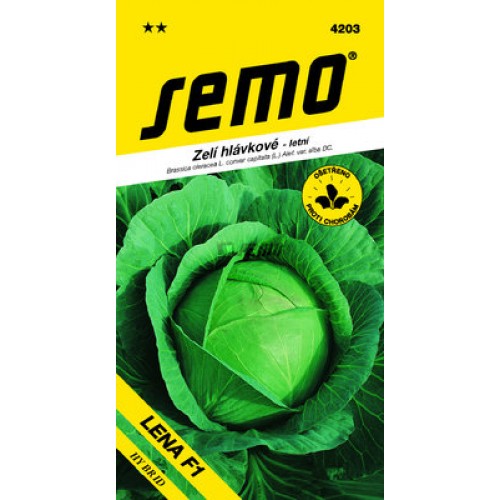 SEMO Kapusta hlávková LENA F1 4203 SEMO Kapusta hlávková LENA F1 4203