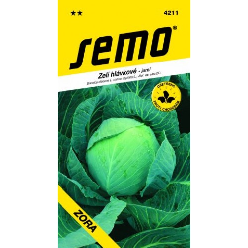 SEMO Kapusta hlávková ZORA 4211 SEMO Kapusta hlávková ZORA 4211