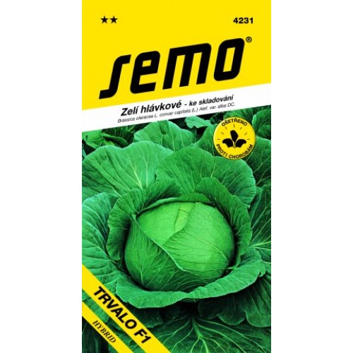 SEMO Kapusta hlávková neskorá TRVALO F1 4231