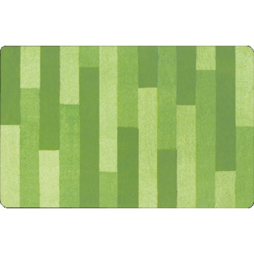 SPIRELLA PLANK Kúpeľňová predložka kivi 55x65cm 1016214 SPIRELLA PLANK Kúpeľňová predložka kivi 55x65cm 1016214