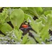 Gardena Micro-Drip System Regulačný a uzatvárací ventil 3/16" 13217-20
