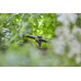 GARDENA Micro-Drip-System Držiak na rúrky 3/16“ 13218-20