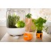 FISKARS KitchenGarden PREMIUM 148500
