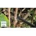 BOSCH UniversalHedgeCut 36-55-24 Akumulátorové nožnice na živé ploty, 1x2,0 Ah 060084A302