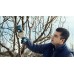 BOSCH Pre Pruner Akumulátorové záhradnícke nožnice 12V, 2x 3,0Ah