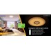 DALEN inteligentné LED stropné osvetlenie DL-C309TX