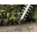 Einhell GC-CH 1855/1 Li-Solo Aku nožnice na živý plot (18V/bez aku) 3410502