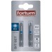 FORTUM-KITO hrot krížový Pozidriv, sada 2ks, PZ 2x50mm, S2 4741312