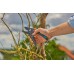 GARDENA Záhradné nožnice PremiumCut Pro na suché drevo 12250-20