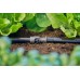 GARDENA MDS Spojka univerzálna 13 mm (1/2") (1ks) 13220-20