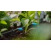 GARDENA MDS Kvapač radový regulovateľný 13315-20