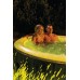INTEX PureSpa Glow Deluxe Bubble Vírivka pre 4 osoby S2 28494NP