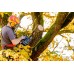 Metabo 18 LTX BL 25 Akumulátorová reťazová píla (18 V / bez aku) 601595850