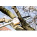 Metabo MA-MS 25 nadstavec na tyčové nožnice, 601727850