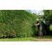Metabo HS 8875 Nožnice na živý plot 608875000