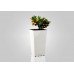 PLASTKON In- & Outdoor kvetináč Elise lesk 20 cm biela