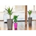 PLASTKON In- & Outdoor kvetináč Elise lesk 15 cm hráškovo zelená