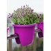PLASTKON Balkónový kvetináč Balconia OVI na zábradlie 26 cm hráškovo zelená