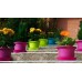 PLASTKON Kvetináč Campanula 11 cm biela