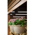 PLASTKON Samozavlažovací závesný kvetináč Marina 30 cm terakota