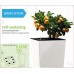 PLASTKON Samozavlažovacie systém Smart systém Elise 30 cm