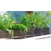 PLASTKON Truhlík Small window box s miskou 20 cm fuksie