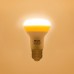 RETLUX RLL 308 R63 E27 Spot 10W WW