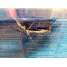VÝPREDAJ BOSCH GAS 15 PROFESSIONAL Vysávač na vysávanie mokro/sucho 06019E5000 POŠK.OBAL