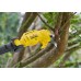 Stanley SFMCPP632B FatMax V20 Aku nožnice na vetvy na tyči (18V/bez aku a nabíjačky)