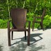 ALLIBERT MINNESOTA Záhradná stolička, 61 x 65 x 99 cm, hnedá 17198329
