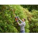 Black & Decker BEHTS501 elektrické nožnice na živý plot plotostrih 230V (60cm/600W)