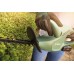 BOSCH EasyHedgeCut 18-45 Nožnice na živé ploty 0600849H01
