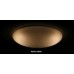 DALEN inteligentné LED stropné osvetlenie DL-C408T