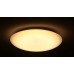 DALEN inteligentné LED stropné osvetlenie DL-C415T