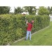 EINHELL Expert Plus nožnice na živý plot teleskopické GE-HH 18 LI T Kit 3410825